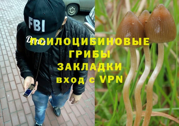 a pvp Балахна