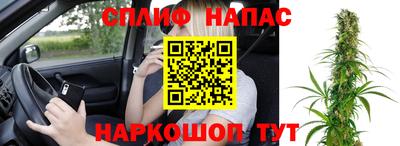 крисы Апшеронск