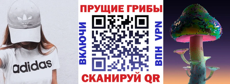 Псилоцибиновые грибы ЛСД  гидра рабочий сайт  Баксан 