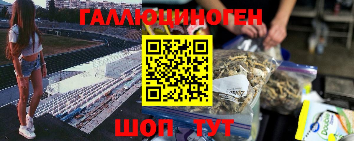 Псилоцибиновые грибы Psilocybine cubensis Баксан
